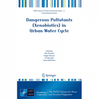 Image of Dangerous Pollutants (Xenobiotics) in Urban Water Cycle